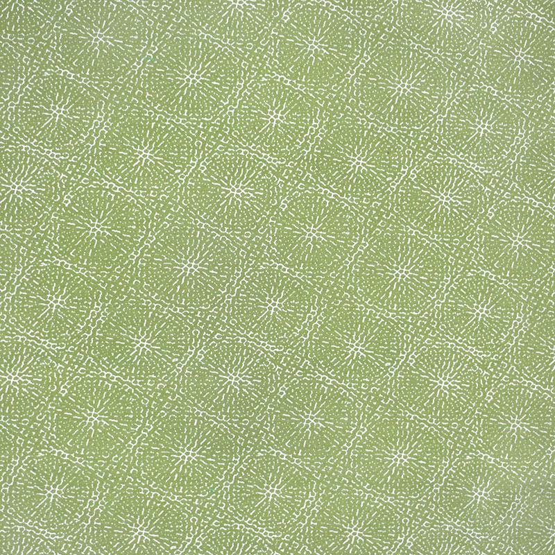 Silver State Copeland Aloe Indoor/Outdoor Fabric