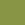 color: Moss