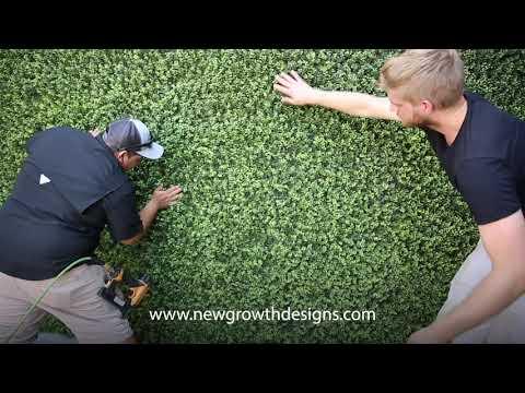 gallery image 4 Video