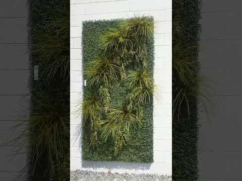 gallery image 6 Video