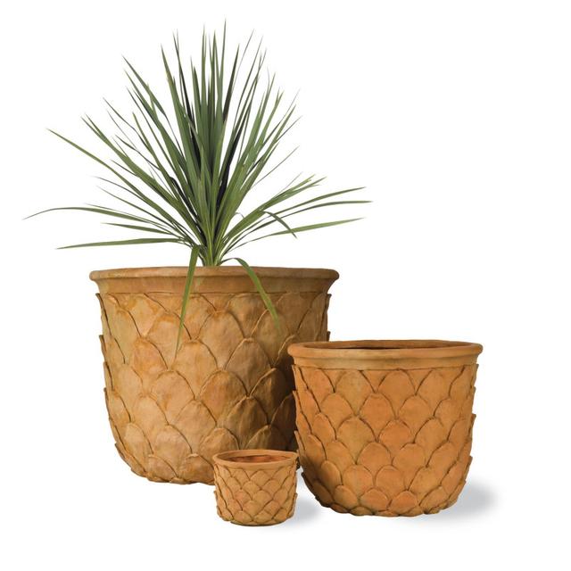 Capital Garden Pineapple Pot