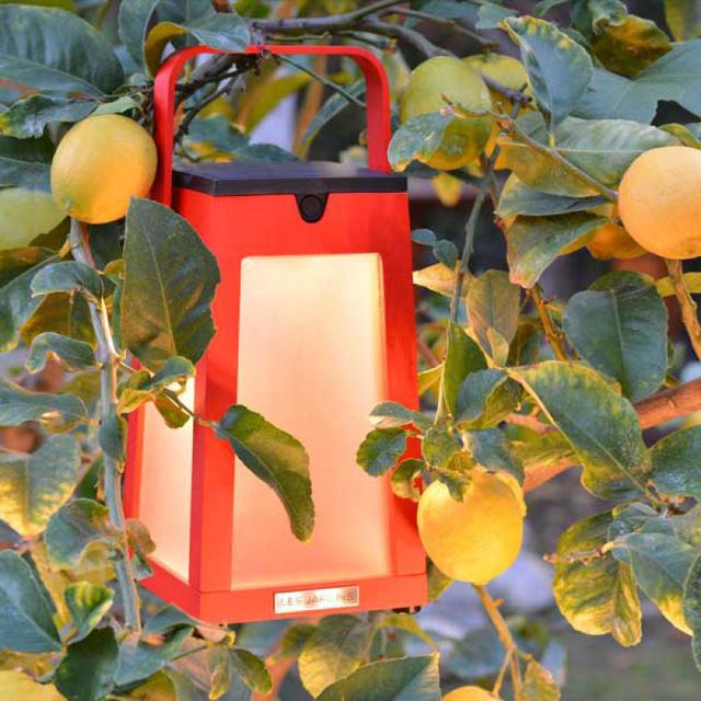 Les Jardins Tinka Solar LED Lantern