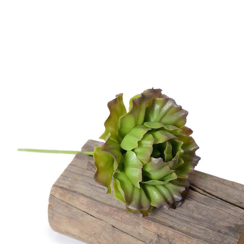 Enduraleaf Green/Brown Faux Cabbage Succulent Pick - Set of 12