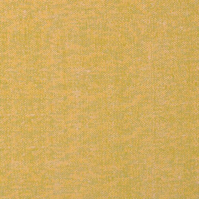 Silver State Primo Citron Indoor/Outdoor Fabric