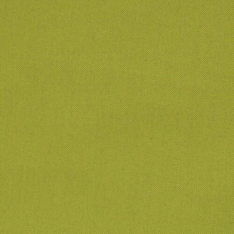 Silver State Duality Peridot Indoor/Outdoor Fabric