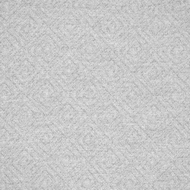 Silver State Obsession Sterling Indoor/Outdoor Fabric