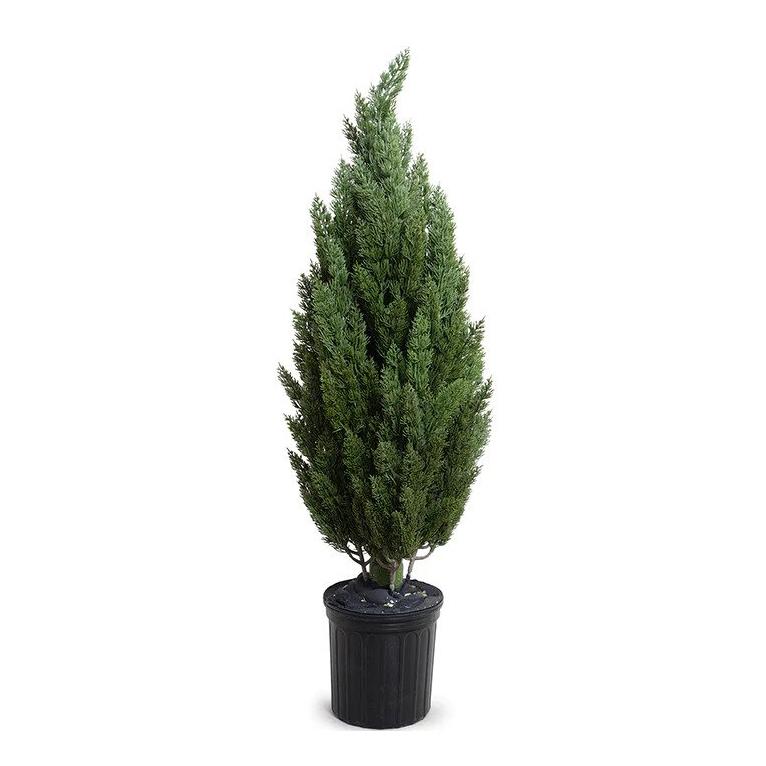 Enduraleaf 4' Faux Italian Cypress Tree