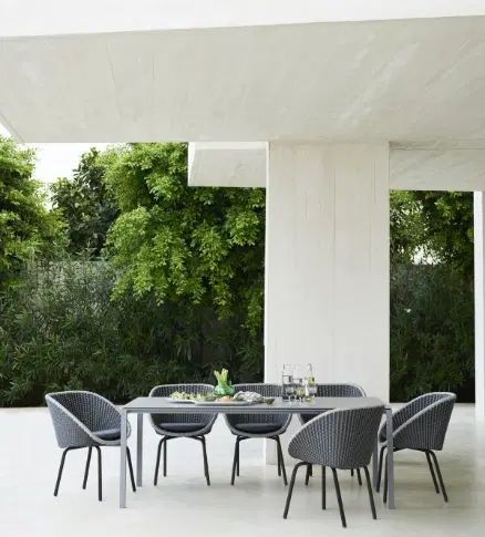 Dining Chairs