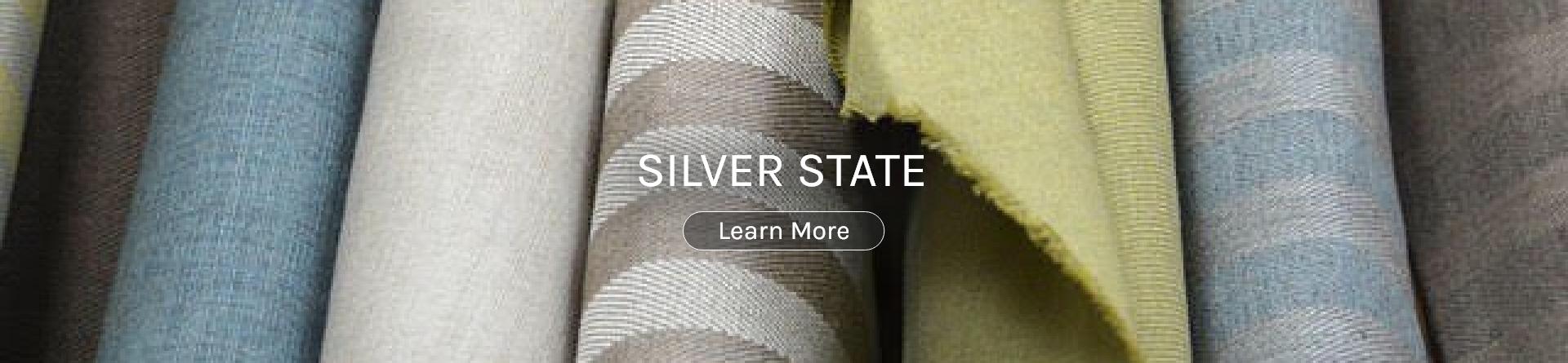 Shop All Silver State
