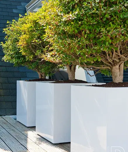 Artificial Outdoor Plants