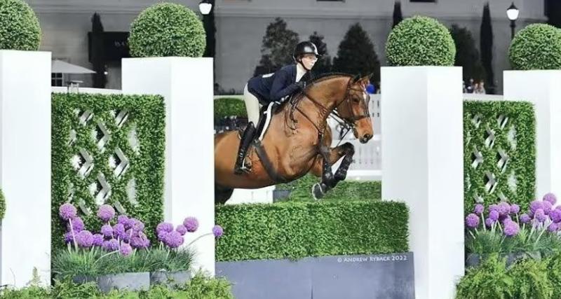 Country Club Artificial Plants